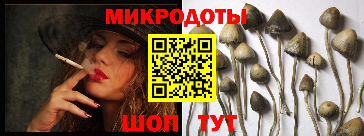 Псилоцибиновые грибы прущие грибы  Вход с VPN  Южно-Сахалинск 